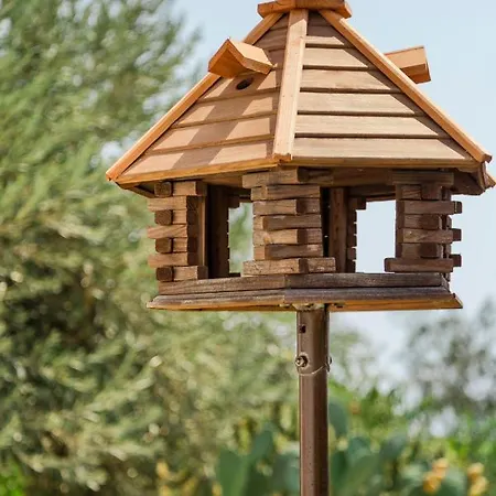 The Corner House At Court