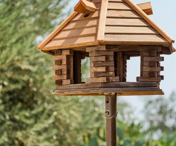 The Corner House At Court